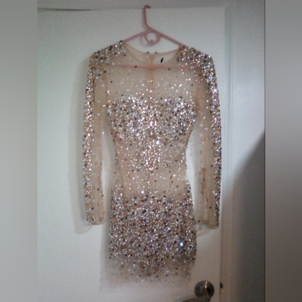 Sparkly Long Sleeve Dress
